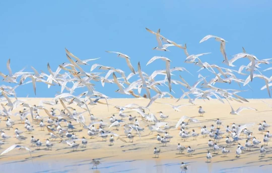 Windy Beach Cabanas كالبيتيا المظهر الخارجي الصورة